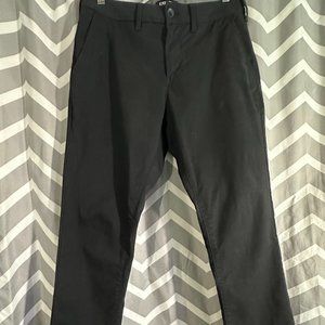 Express Dress Pants